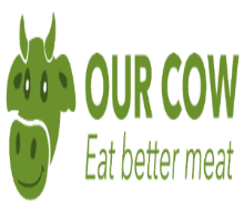 our cow 4