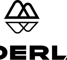 wonderland stacked logo