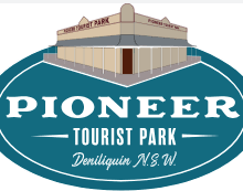 pioneer logo